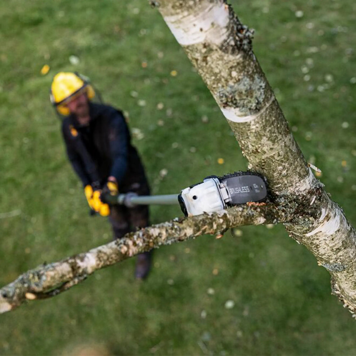 Potatore telescopico Dewalt DCMPS635N-XJ 54V